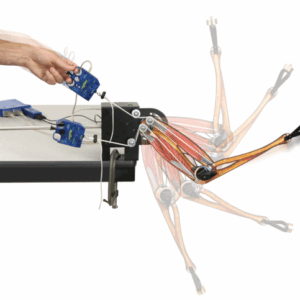 Mechanics-Human Arm Model - Image 4